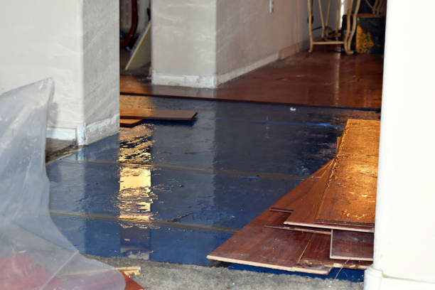 Professional Burst Pipe Cleanup technician working in Edgewood, TX