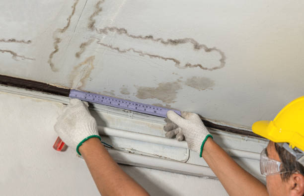 Reliable Burst Pipe Cleanup contractor in Edgewood, TX by Water Damage Irwin